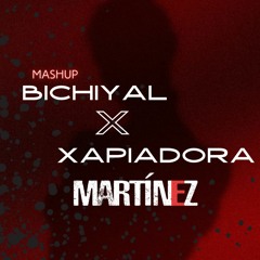 Bichiyal x Xapiadora (Martínez Mashup)