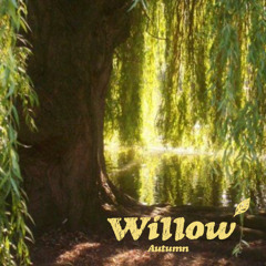 Willow