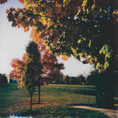 You'll Find Your Way (The Dietz Song)