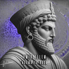 Amir Telem - Ngoma Ya Rasa (Original Mix) AV027