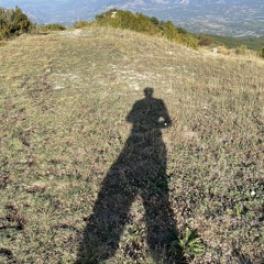 les oliviers du vallon