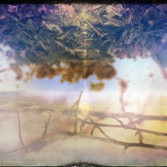 Voyage