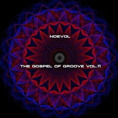 The Gospel of Groove by Noevol Vol.11