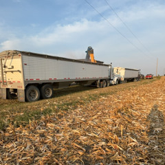 Zach Top Cover - Free Born Man