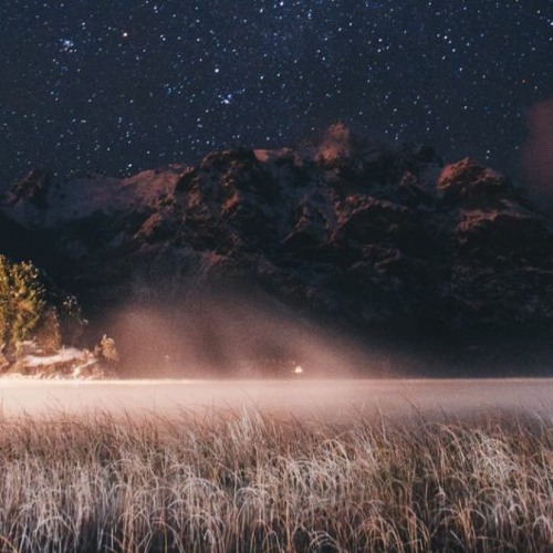 Adrift In The Forest :: Atmospheric Outer Space Sessions :: 17th February, 2021 :: Jungletrain.net
