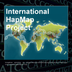 11. Descifrando nuestras diferencias: Cómo el proyecto HapMap revolucionó la investigación genética