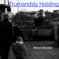Trumandsly Holding