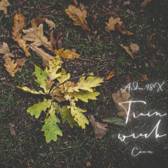 Train Wreck [COVER]