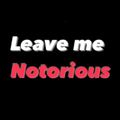 Leave Me Notorious I Rubik Tan drum & bass