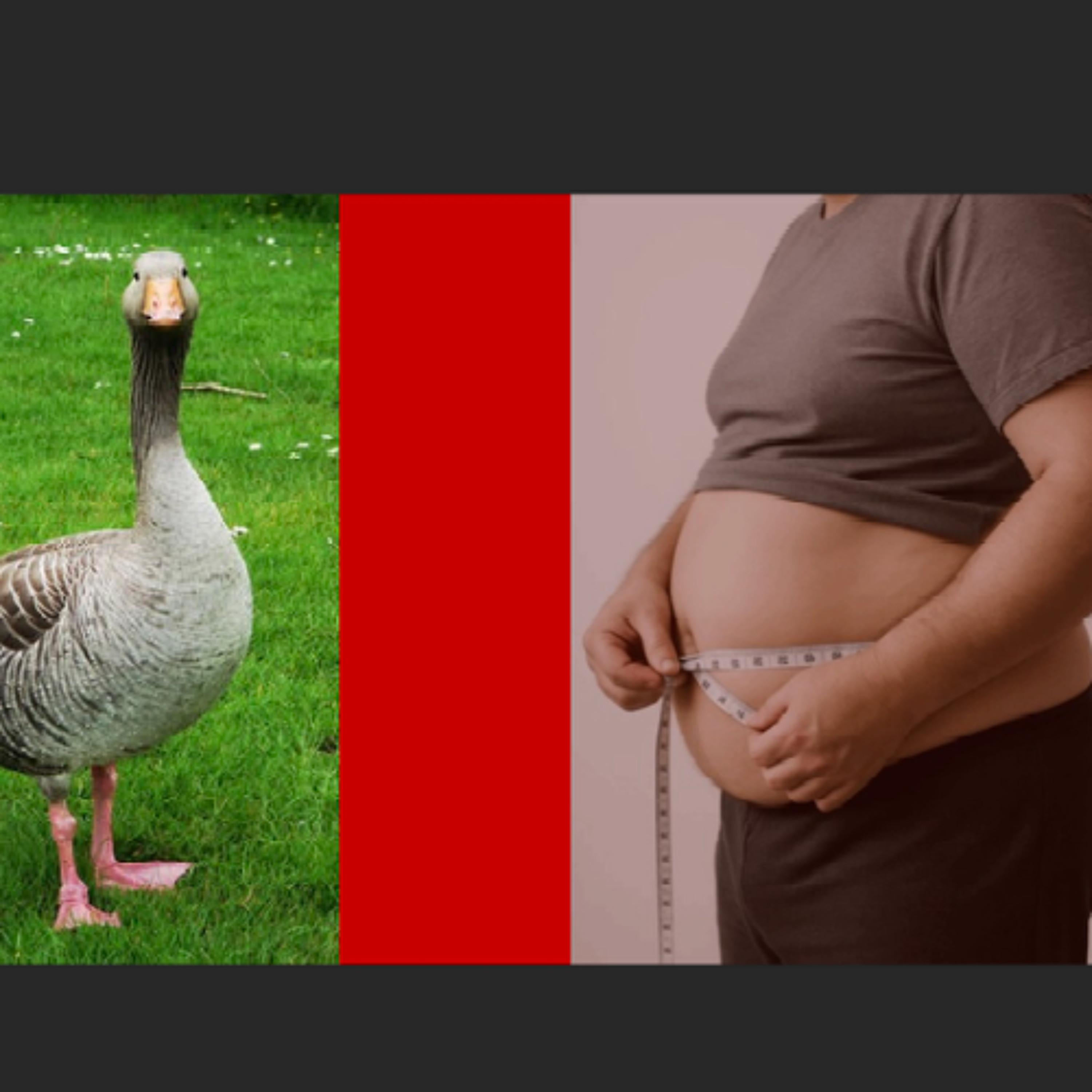 PAUSE SANTE - le Foie gras (Lundi 15 décembre 2025) episode artwork