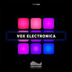 TWPM 088 Vox Electronica - montage