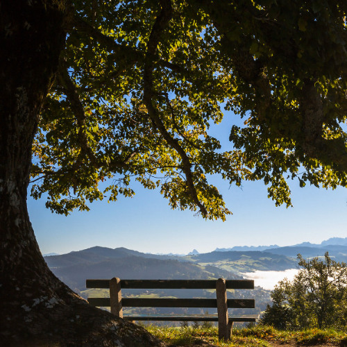 taylor swift - wildest dreams piano cover
