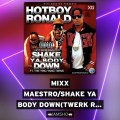 Mixx Maestro/Shake Ya Body Down(TWERK REMIX)