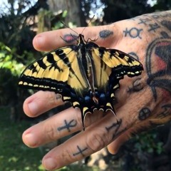 Healing Mixtape- Volume 2- "Gentle Warrior"