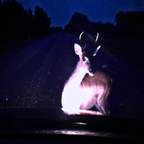 t o o   m u c h   t i m e  [boska]