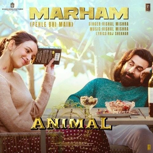 Marham Slow reverb.m4a Animal Movie