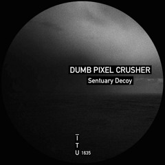 Dumb Pixel Crusher - Sentuary Decoy [ITU1635]