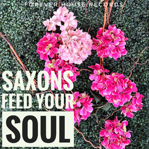Feed Your Soul ***COMING SOON ON FHR***