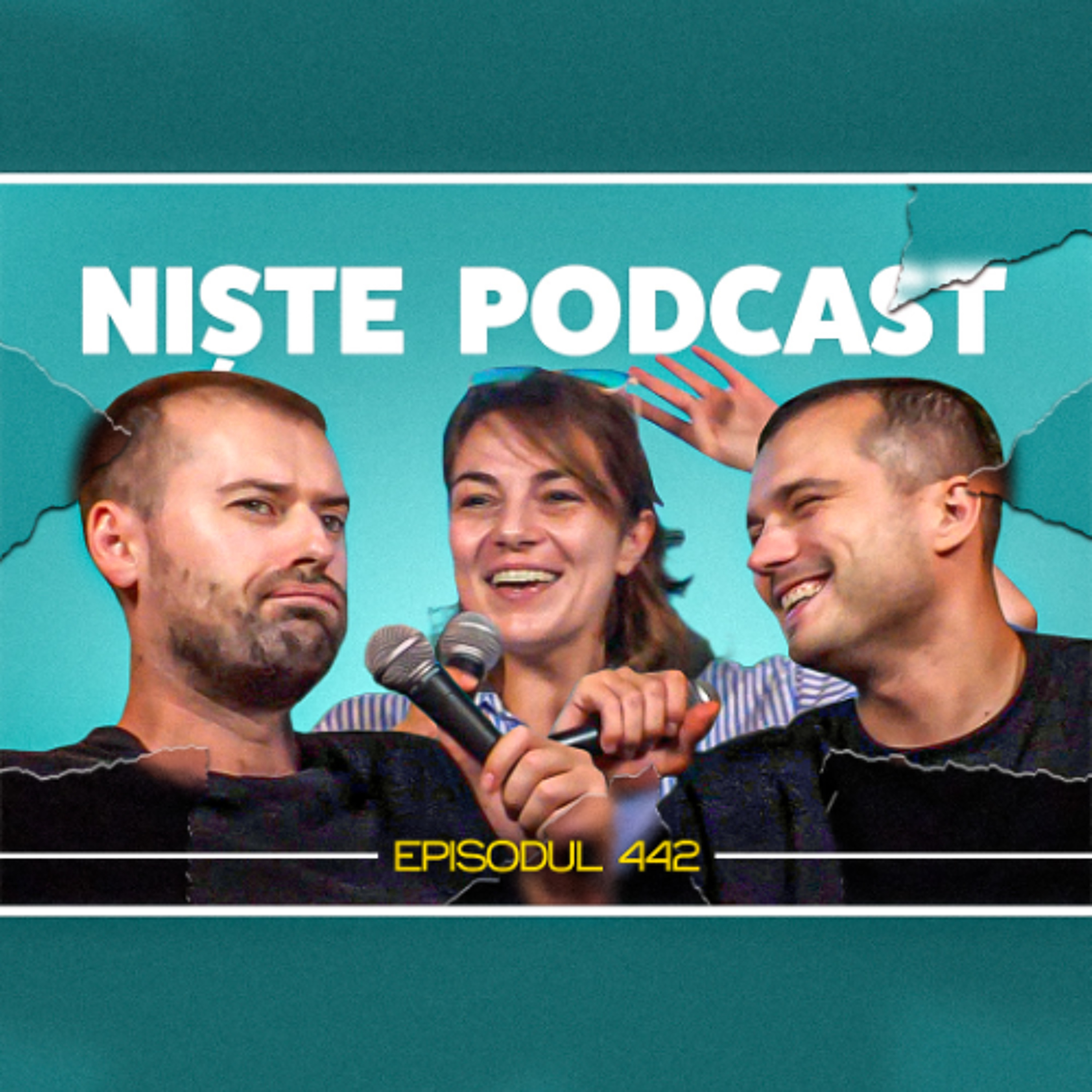 Vietnamezi pe schele, tehnici de prim ajutor și parada gay - NiștePodcast #442