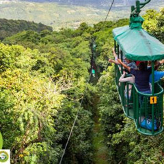 Review Special Price St Lucia Aerial Tram Tour At Rainforest Adventures