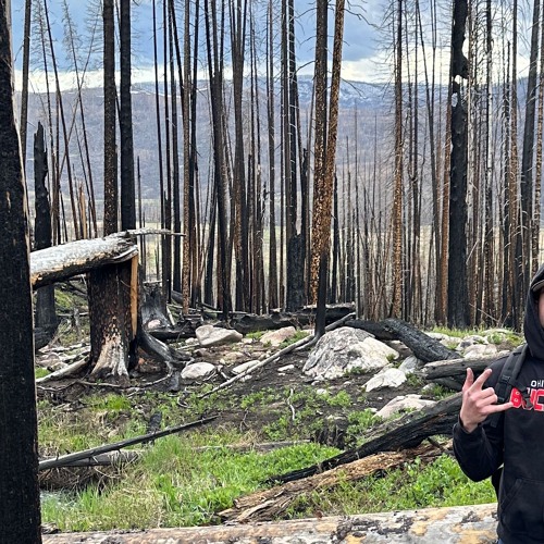 U can do Anything p. (everydaysinner)