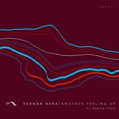 Vernon Bara - Another Feeling (Noetik Remix)