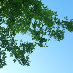 ☆teen suicide - no the moon☆ (teclado cover)