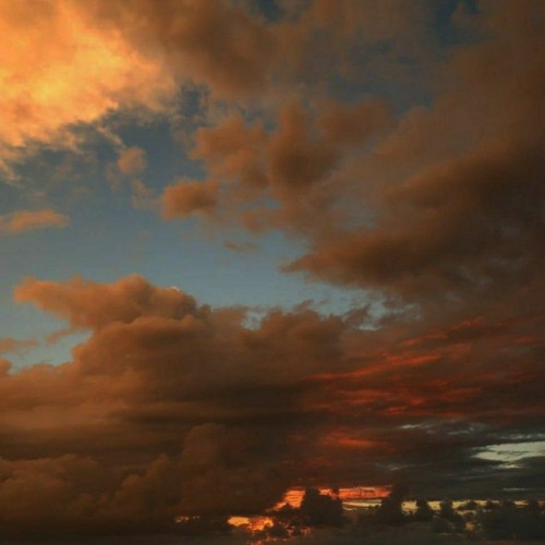 motorrolla- восьмий колір