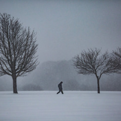 The End of the Story