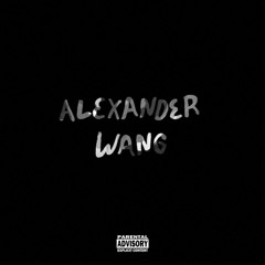 Alexander Wang!   w/ Z Zay {prod. thxndrz}} (VIDEO LINK IN DESCRIPTION)