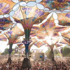 Psytrance Tech and Progressive - Summer 2024