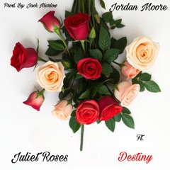 Juliet Roses