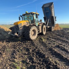 Riordan x silva bumpa