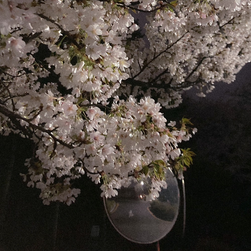 경서 - 봄이야 (guide ver)