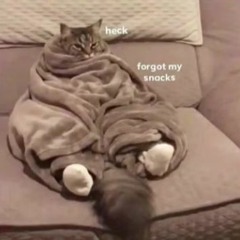 memes i found under your moms bed