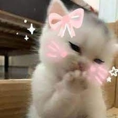 ✿♥ (^v^) ♥✿ !!!!!