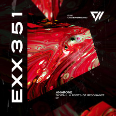 Amarone - Skyfall [Preview]