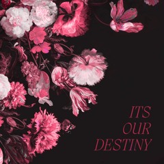 IMANU & KUČKA - It's Our Destiny (10DRUM Remix)