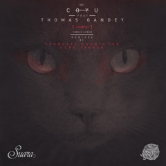 1+1 (Original Mix) [feat. Thomas Gandey]