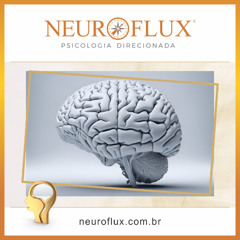 Precursores neurobiológicos, cognitivos e sociais da empatia - NeuroFlux