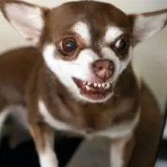 Song that I made without hearing