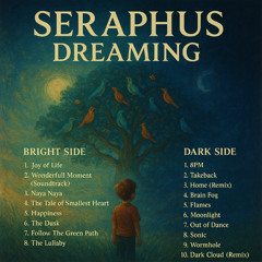 Seraphus - Bonus track - Vivid matter (Remix)