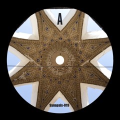 PREMIERE: Siamak Amidi - Mess With You (Live Version) [SYNAPSIS-019]