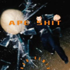1300 - Ape Shit (røm Remix)