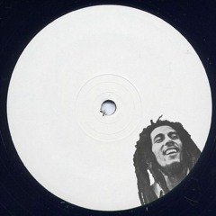 Bob Marley - Could You Be Loved (speedy g remix)