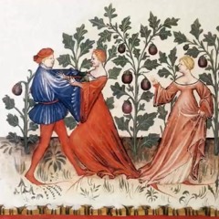 Somebody That I Used To Know (Bardcore | Medieval Style Cover With Vocals) - Hildegard Von Blingin’