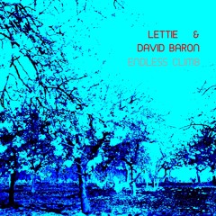 Lettie and David Baron - Memory