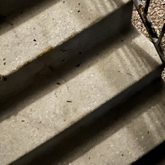 EBK JAAYBOO freestyle 1