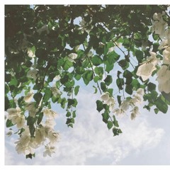 Đi Qua Mùa Hạ - LocB