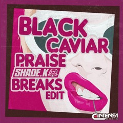 Pr*ise (Shade K Breaks Edit)